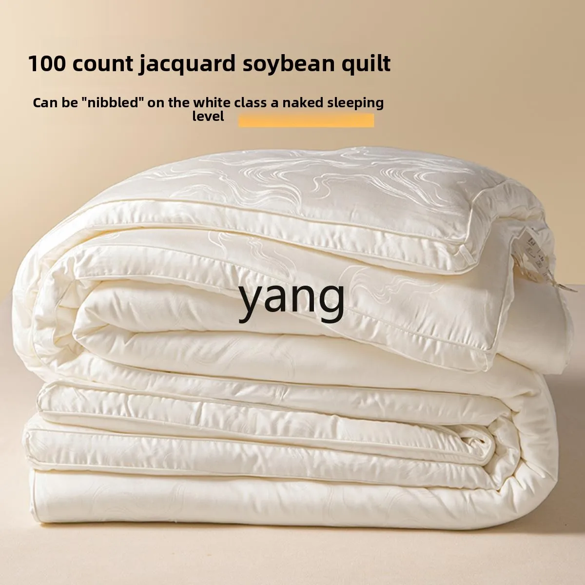 LH high-end soy protein fiber quilt winter quilt quilt core spring and autumn thickened warm