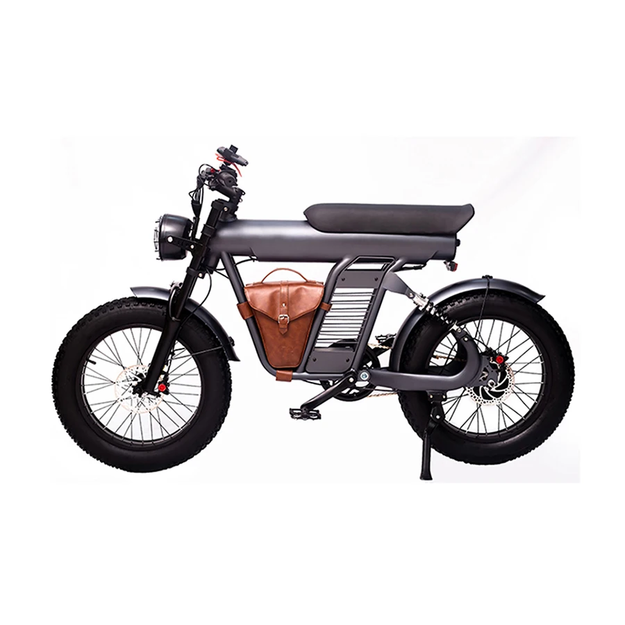 

14 16 20 24 26 Inch Fat Tire EU US Europe Poland Warehouse 48V Vintage Retro Sample Road Dirt Mountain City Dirt Electric Bike