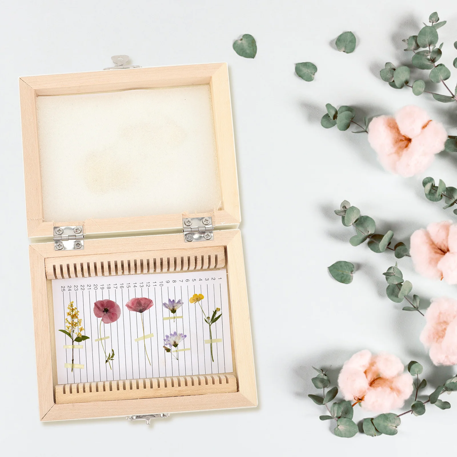 

Microscope Slide Storage Box 25 Slots Wooden Case Clear Numbering Sturdy Not Easy to Oxidize Microscope