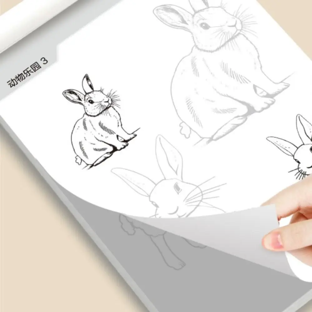 Cartoon Novice Hand Drawn Tutorial Studying Zero Basic Line Draft Book Sketch Tracing Drawing Copy Book Girl Boy