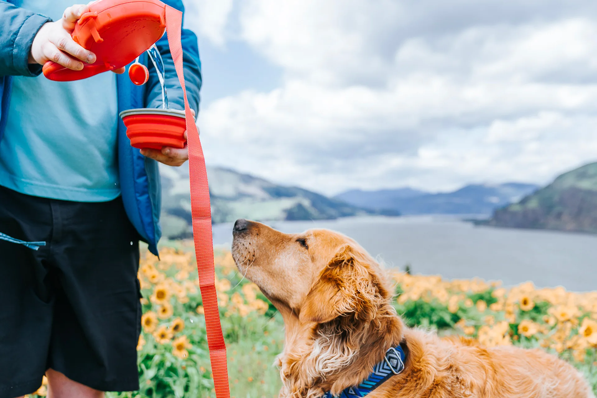 Multifunction Pet Dog Leash with Builtin Water Bottle Bowl Waste Bag Dispenser for Outdoor Walking Traction Rope Pet Accessories