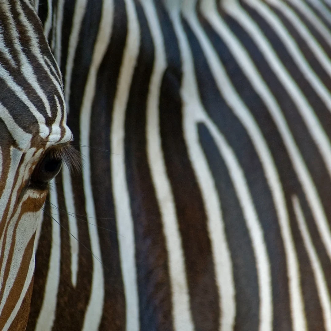 

AFJY For Ford Explorer 2011 - 2019 Digital Cluster Car LCD Dashboard Panel Virtual Cockpit Instrument Speedometer Screen Unit