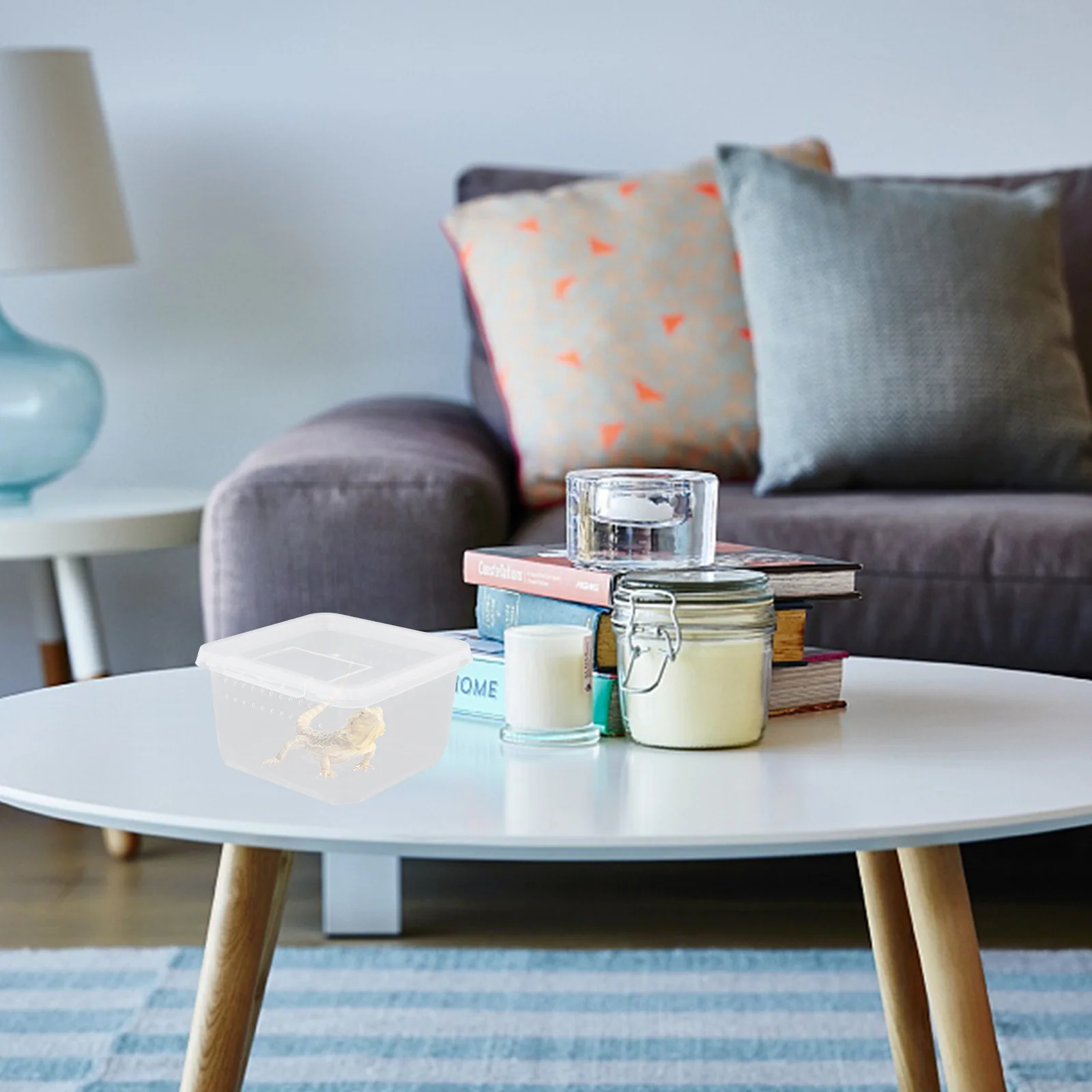 

Reptile Supplies Spider Feeding Box Mini Carrier Transparent Living Environment Daily Feeding Watering Risk