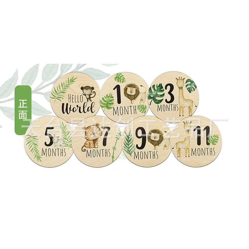Dubbelzijdige baby ronde creatieve mijlpaal houtsnippers rekwisieten DIY baby maandelijkse kaart houten handwerk geschilderde decoratie