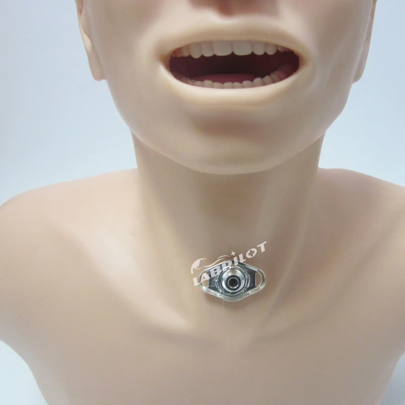 Adulto Traqueotomia Cuidados Enfermagem Simulator, Faringe e Traquéia Ensino Modelo