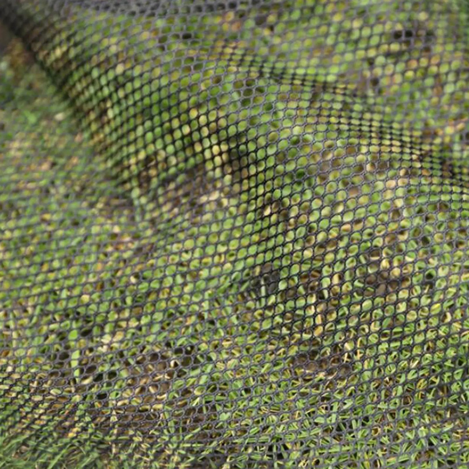 

Soccer Target Net Accuracy Training Net Football Target Net