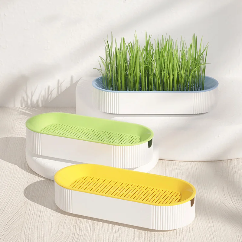 1PC Cat grass planting hydroponic grass box--without seeds