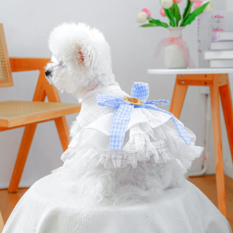 

Sea Salt Tulle Dog Dress for Small Medium Dogs, Fluffy Puppy Tutu Pet Clothes, Cute Pet Supplies Princess Gown for Party