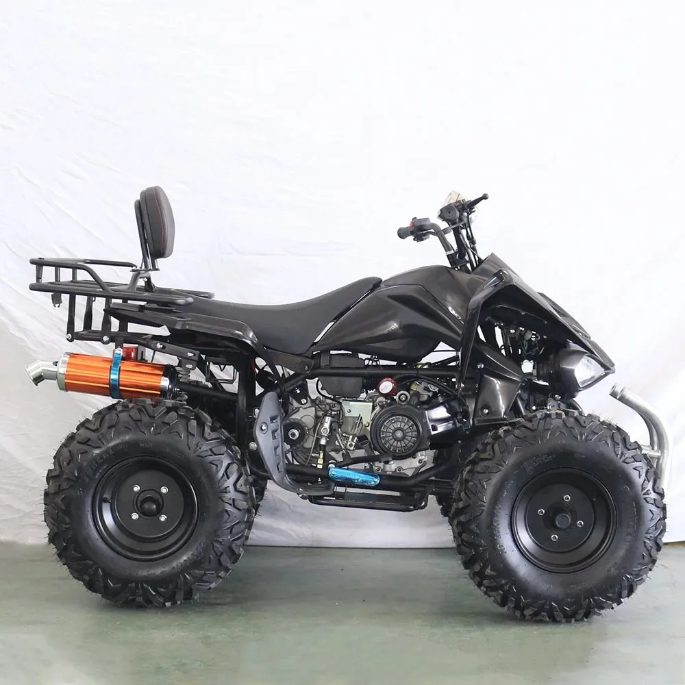 200CC 4-Stroke ATV Mini Chain Drive Quad Bike