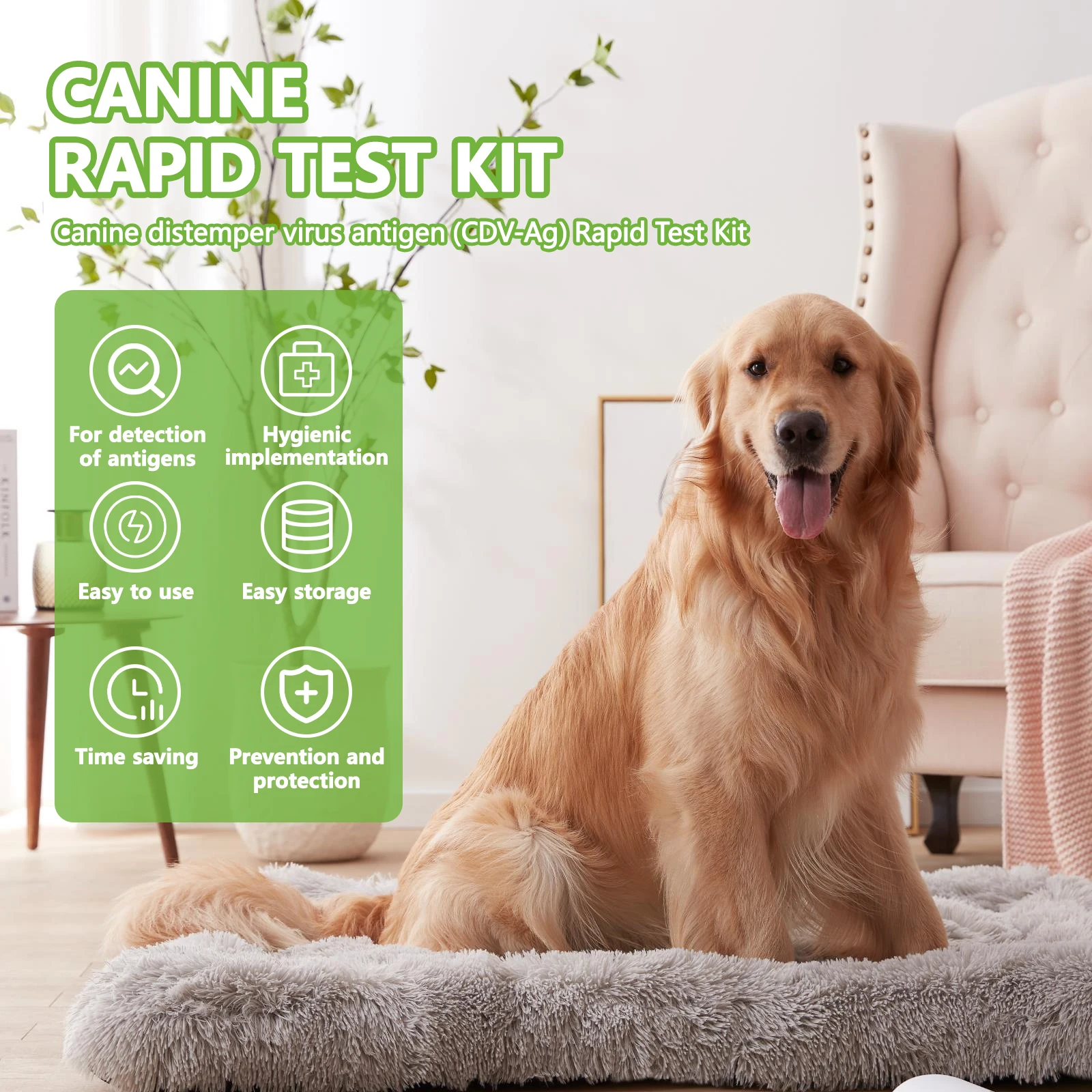 10 Pcs Canine CDV Rapid Test Kit Dog Distemper Detection Card Home Health Test