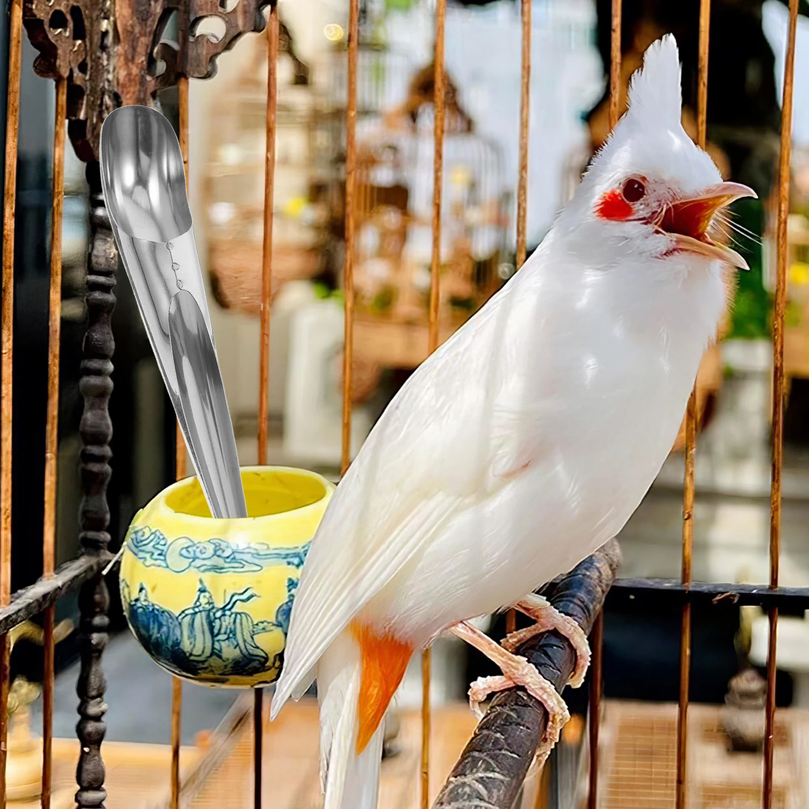 

Stainless Steel Bird Parrot Feeding Scoop Pet Food Shovel Spoon Fine Material Easy Clean Reusable Moderate Capacity Practical