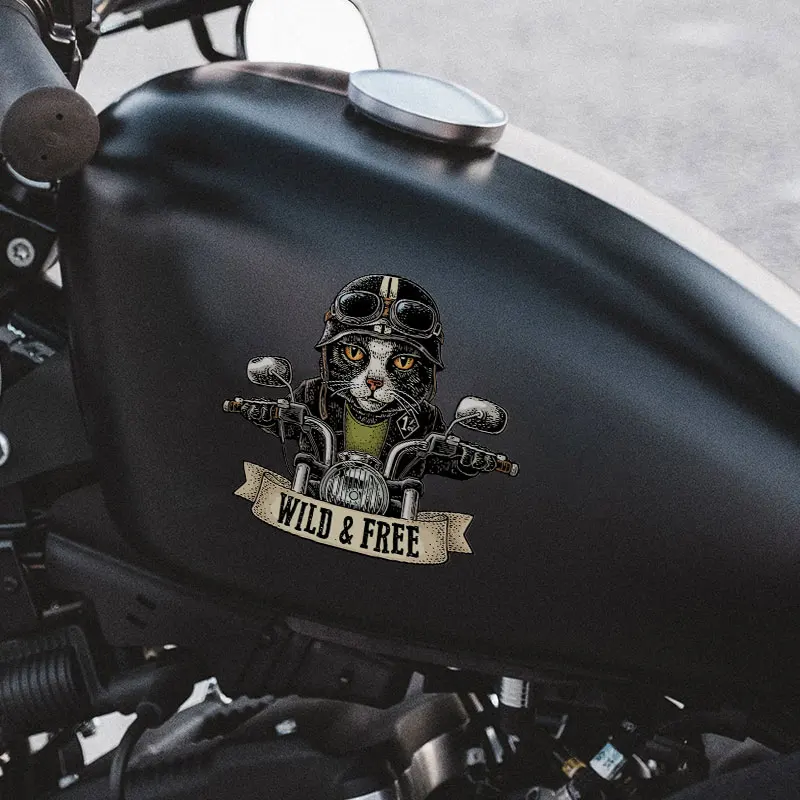 ملصقات القط لراكبي الدراجات النارية ، شارات فينيل قابلة للإزالة للدراجة النارية ، خزان الوقود ، خوذة الزجاج الأمامي ، الديكور الرائع #4