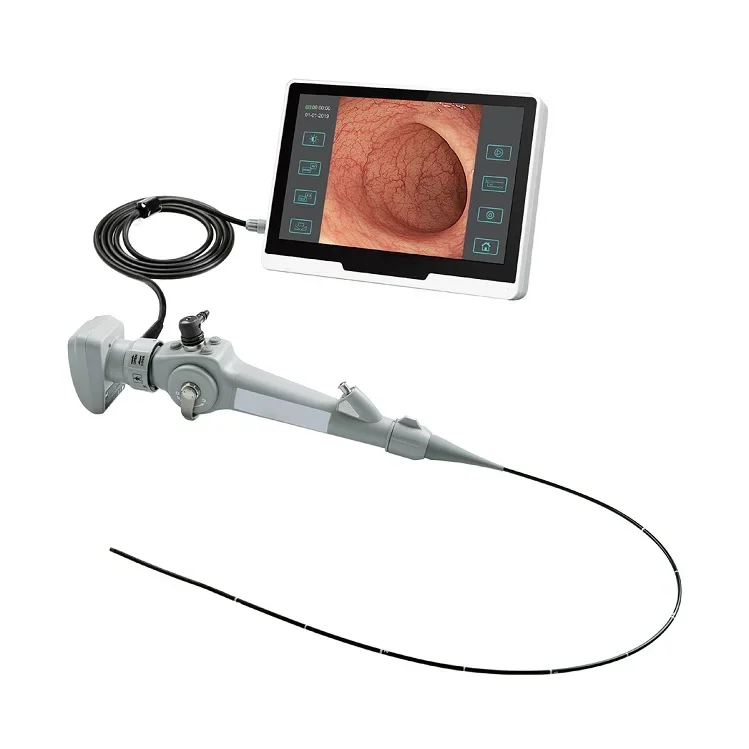 

Portable USB Veterinary Endoscope Non flexible Medica USB Endoscope For Horse with 1.6m working channel