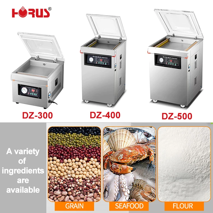HORUS OEM/ODM Design Stainless Steel DZ 400 DZ 500 Vacuum Packing Machine For Meat