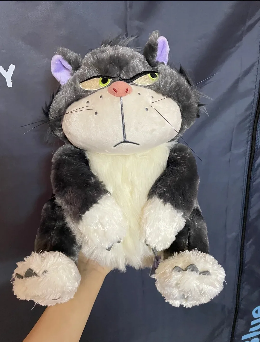 اليابانية مضحك لوسيفر القط دمية ألعاب من نسيج مخملي دمية لوسيفر باد القط وسادة كارول القط ألعاب من نسيج مخملي هدية عيد ميلاد فتاة