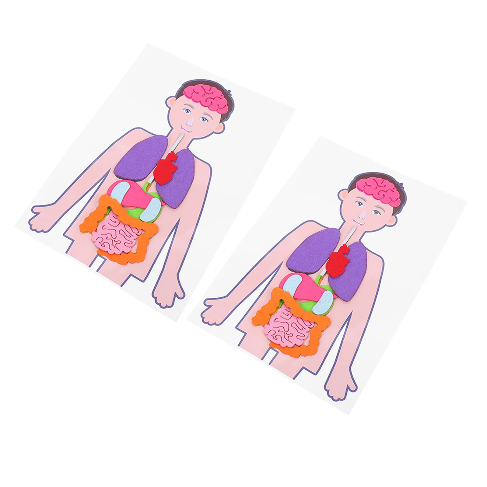 2 Sets Children's Human Body Teaching Aids Toy Puzzle Organs DIY Plaything Fabric Torso Model Cognitive