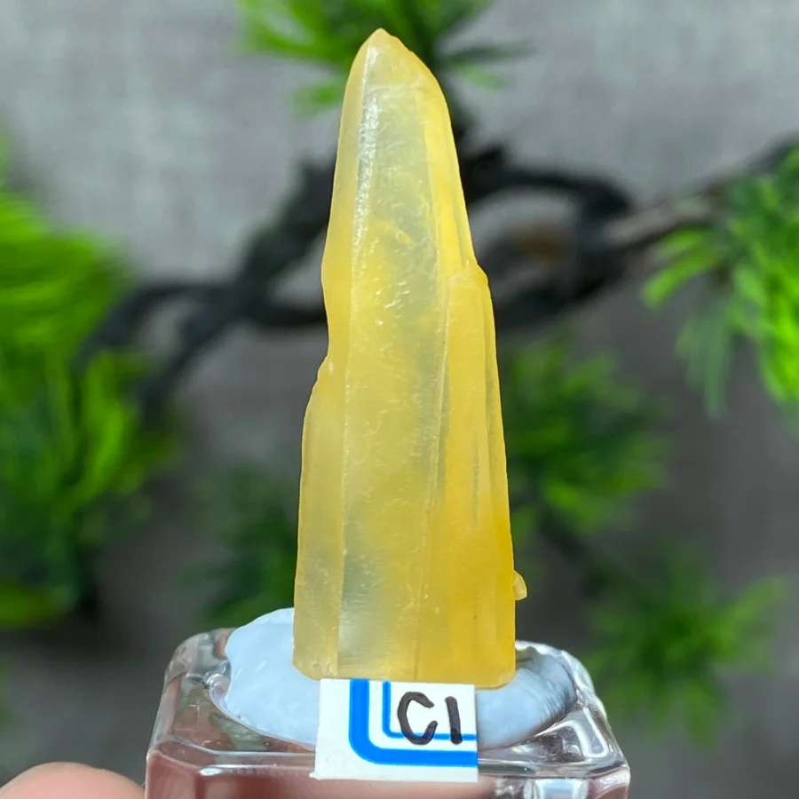 Natural Yellow Rabbit Hair Crystal Mineral Specimen Obelisk Quartz Healing Energy Rock Gemstone Collect  Home Decoratio