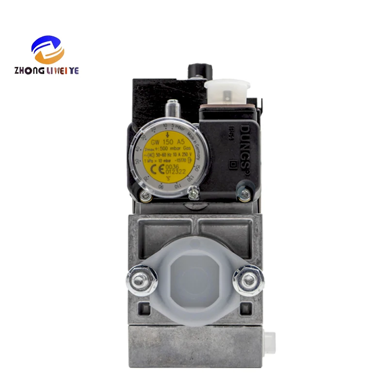 2026 New Dungs Sole… - image