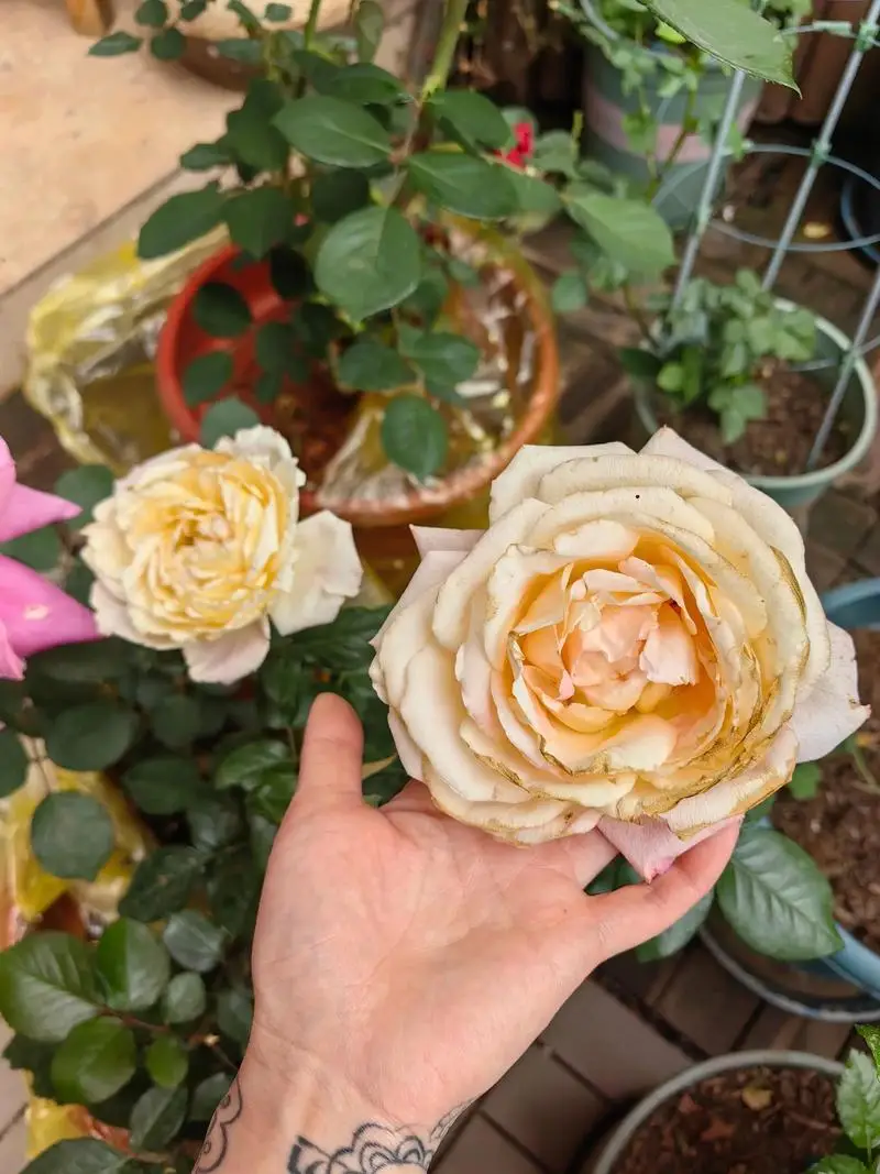 outdoor-wireless-doorbell-camera-24g-wifi-two-way-intercom-video-doorbell-human-detection-smart-home-security-door-camera