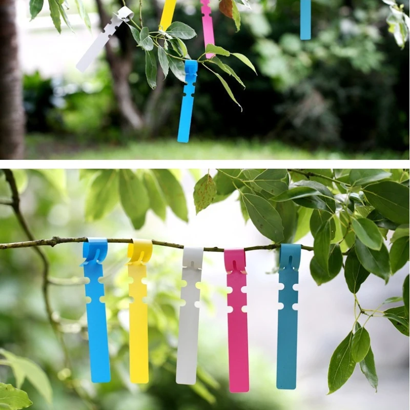 50-100pcs สวนป้ายเครื่องหมาย Reusable เนอสเซอรี่ Hang Tag บัตรประจําตัวพลาสติกกันน้ําแหวนป้ายผักเครื่องมือ