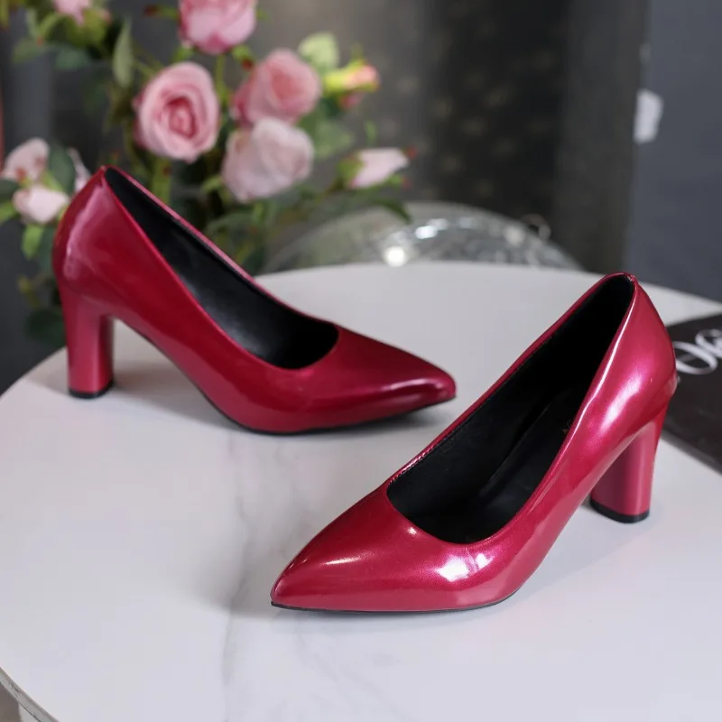 Versatile Temperament Shallow Single Shoes 2025 Spring and Summer New Pointed Toe High Heels Block Heel Women's Shoes
