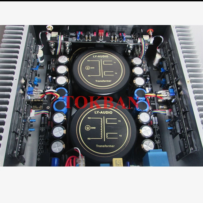 Tokban Reference Goldmund Telos 600 Power Amplifier 220w*2 High Power Class AB Amp Balanced XLR HIFI Amplifier Audio