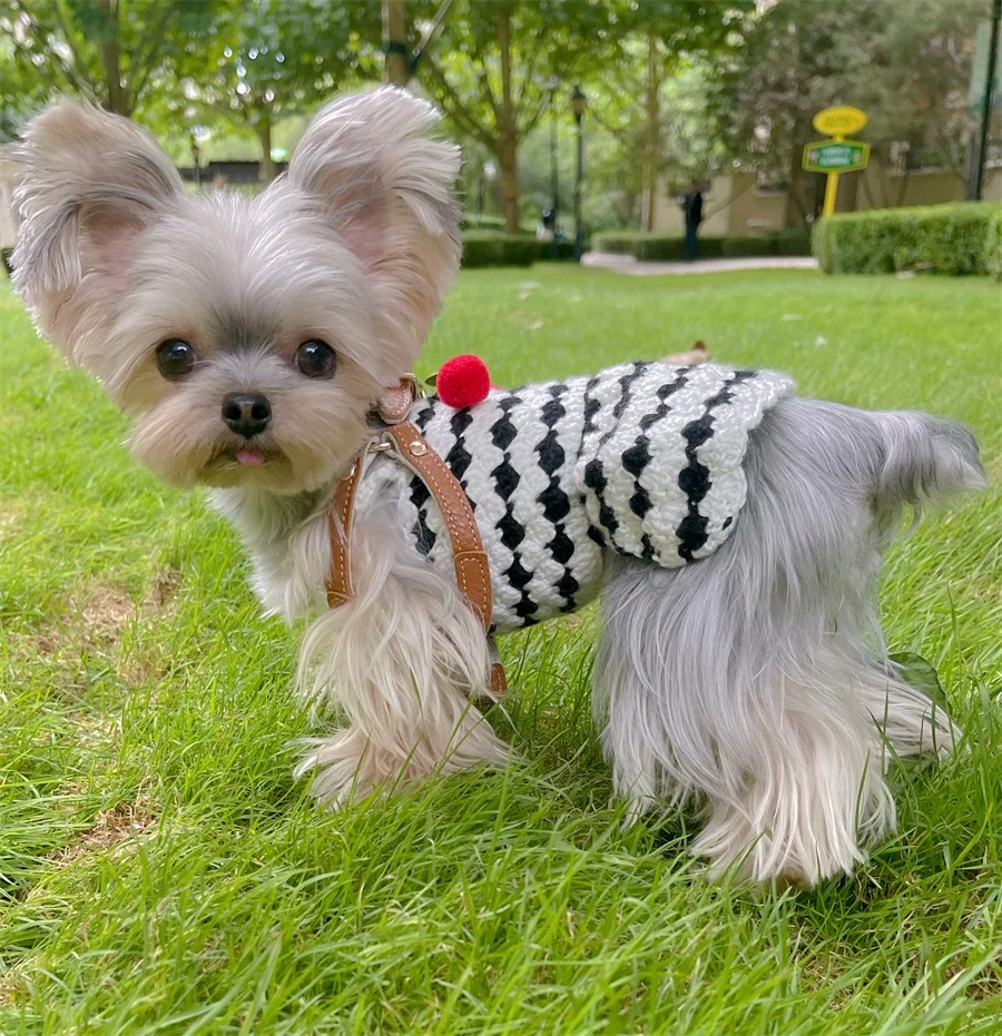 Pet Sling Dress Dog Yorkshire Autumn Winter Warm Hand Knitted Sweater Black White Cherry Sling Dress Dog Clothes for Small Dogs