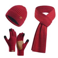 3Pcs/Set Warm Women Hats Scarf Gloves Set Ear Protection Soft Winter Warm Mitten Plush Non-slip Touchscreen Gloves for Men Women