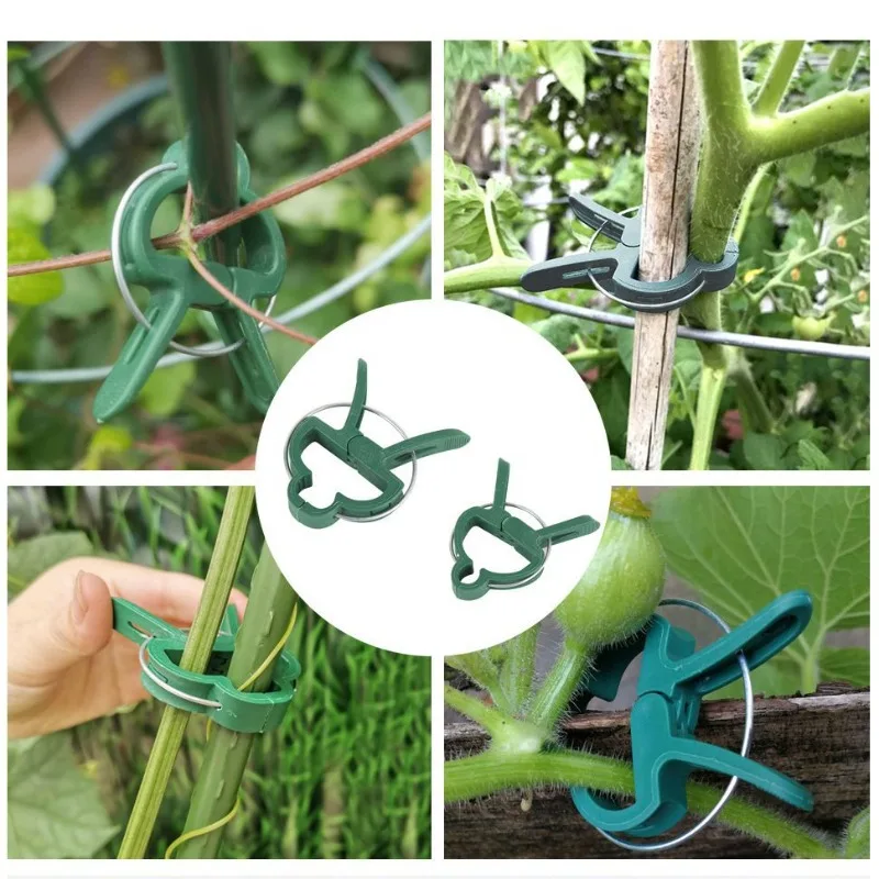 

20pcs Plant Support Clips Flower and Vine Garden Tomato Plant Support Clips for Supporting Stems Vines Grow Upright Climbing