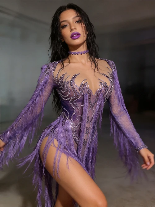 Chaomian Purple Rhinestone Embellished Nude Mesh Long Sleeve Bodysuit with Flowing Fringe Tassels for Drag Queen Performances