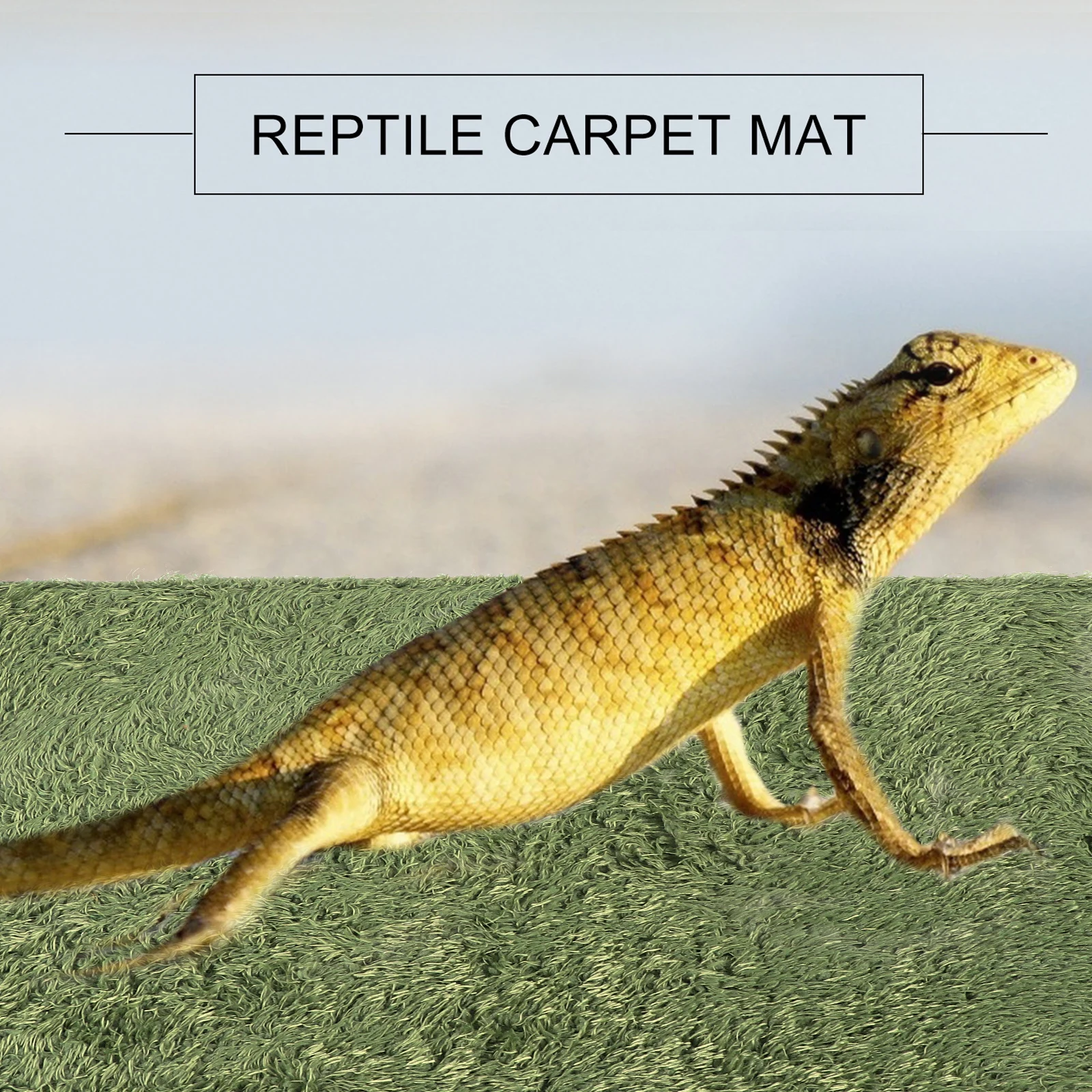 

2 Pcs Matting Pet Bearded Dragon Tank Flooring Liner Lizard Accessory Soft Waterproof Heat Preservation Moisture Comfortable