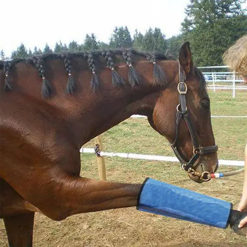 Botas de mosca reutilizáveis para cavalos, malha respirável, conforto, fadiga perna, conjunto de 4 pcs