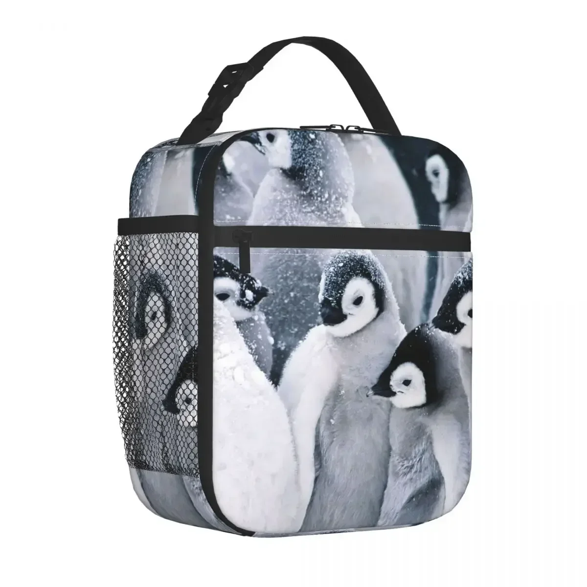 Изолированная сумка для обеда с изображением пингвина, герметичный мультяшный контейнер для обеда, сумка-холодильник, сумка-тоут, ланч-бокс, сумки для хранения еды на открытом воздухе для колледжа