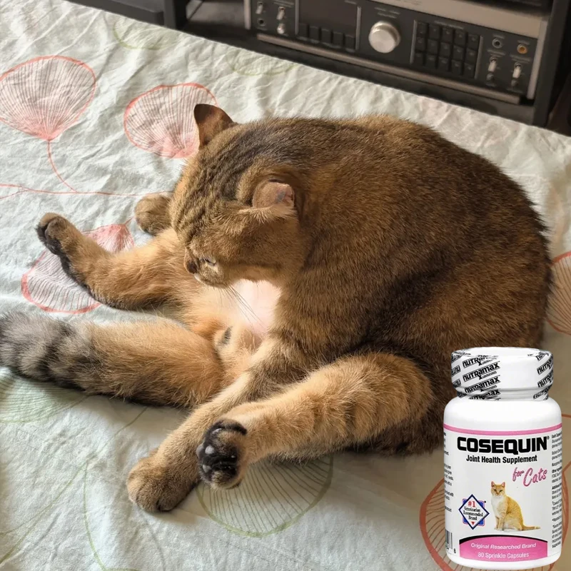 Pet Nutritional New Cosequin Joint Health Supplement for Cats 80pcs per Bottle