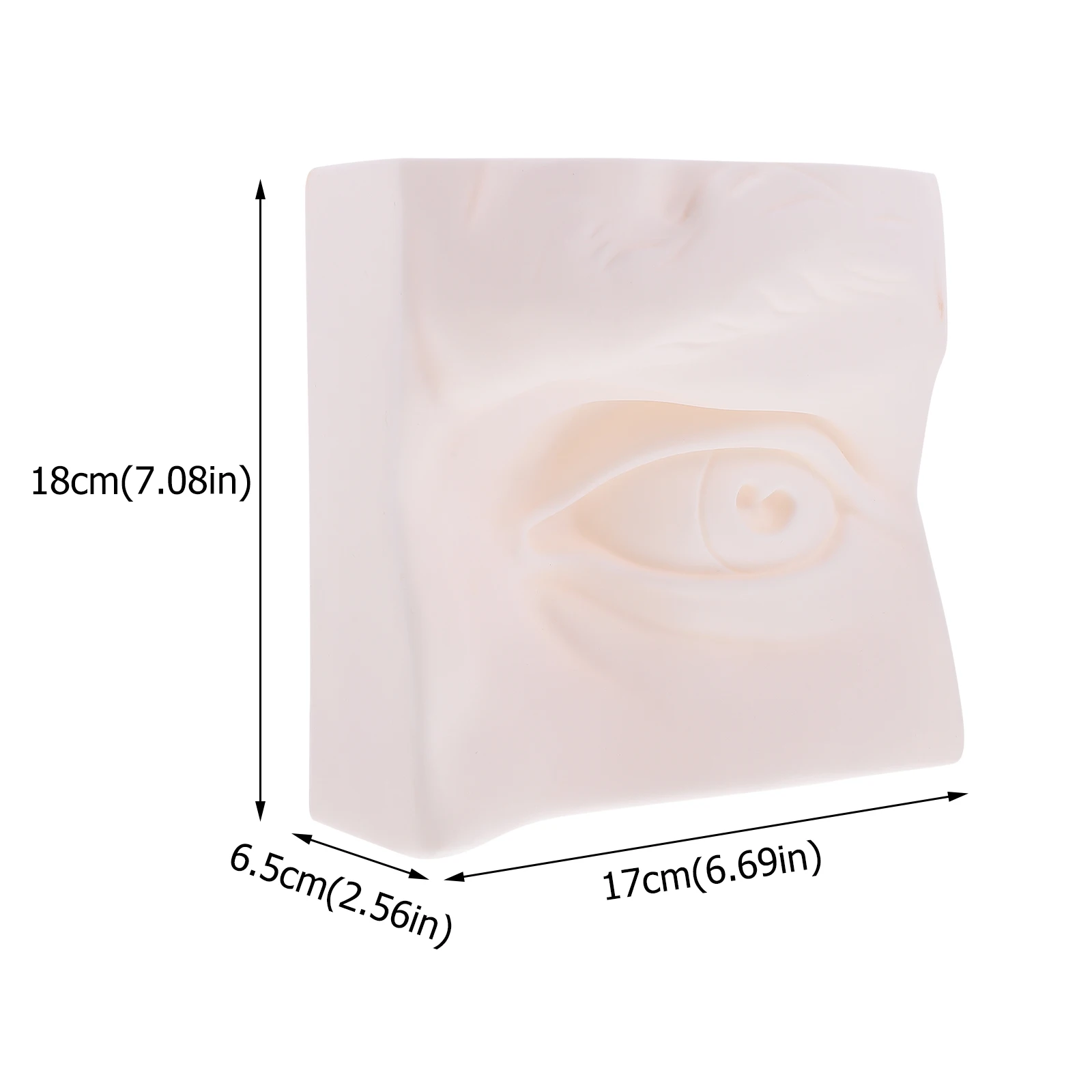 Student Sketch Models Creative Shape Design Painting Props Sense Organ Teaching Tools Bedroom Decoration Study Aids