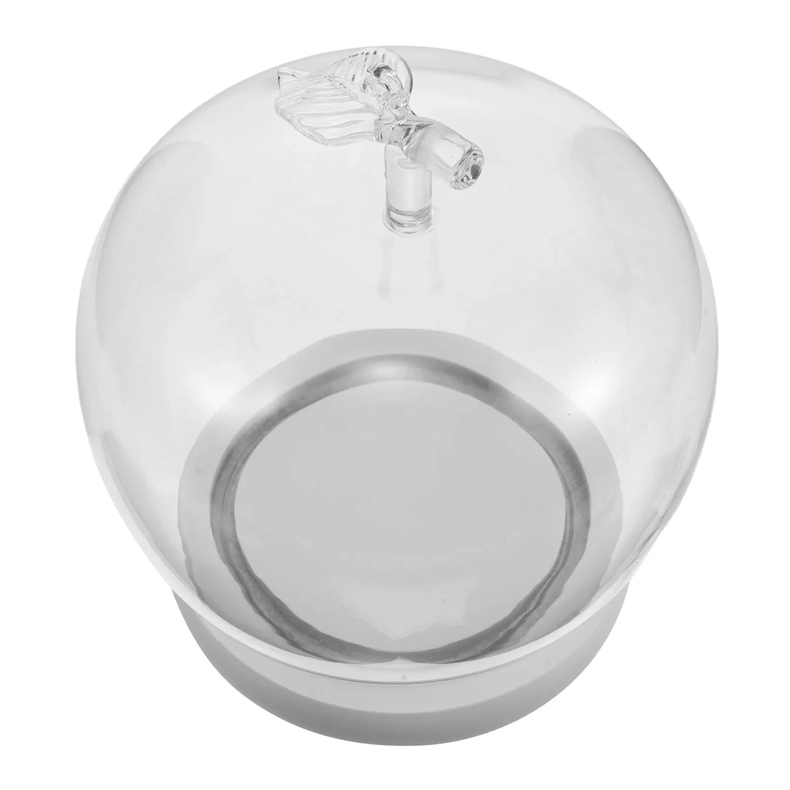 Small Glass Display Case Eternal Flower Glass Dome Cloche Apple Design Transparent Display Cover for Preserved Flowers