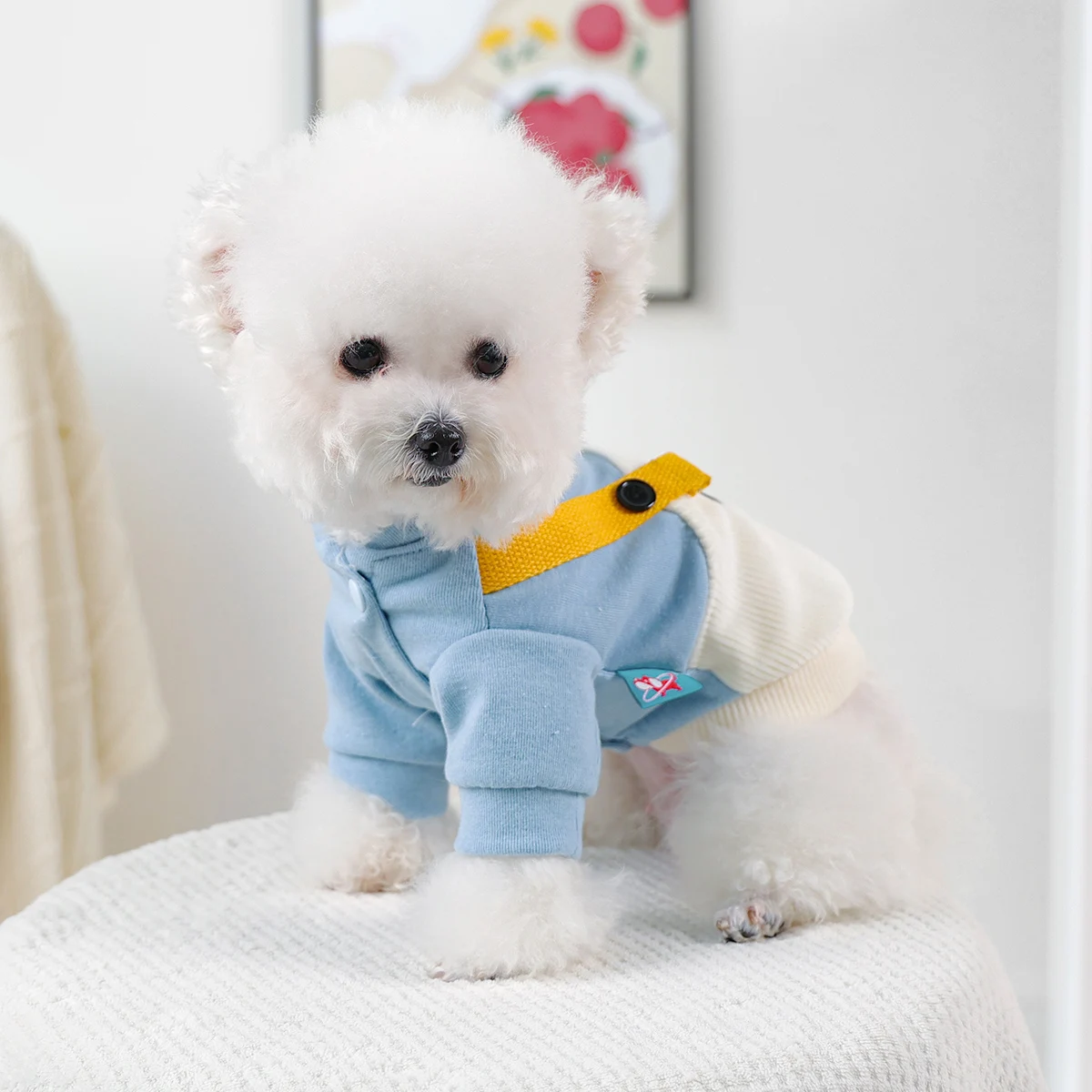 Puppy Clothes, Happy Puppy Things, Cute Calf Back Bag Sweater, A Must for Cute Pets, Suitable for Puppies and Cats