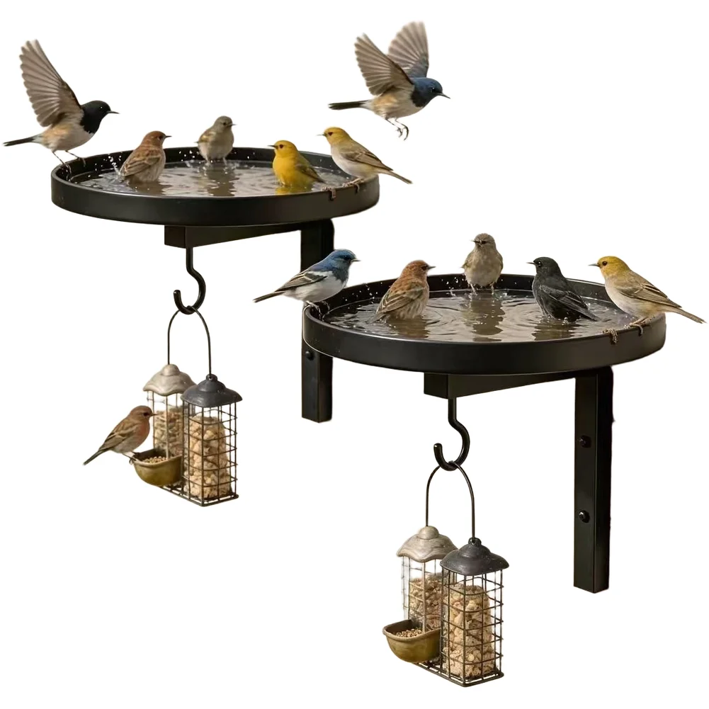 Wall-Mounted Bird Bath & Feeder 4