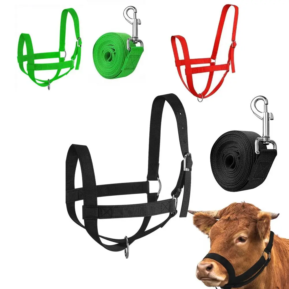 Cattle Head Collar Adjustable Cow Halter with Lead Nylon Heavy Duty Horse Halter Comfort Fit Durable Livestock Strap Farm Use