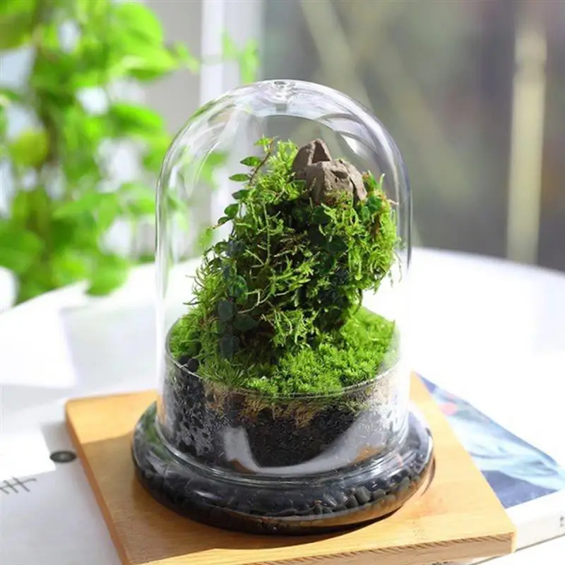 Landscape Eco-Bottle Moss Bottle Micro Landscape Vase Micro Landscape Bottle Empty Moss Bottle Ecological Bottle