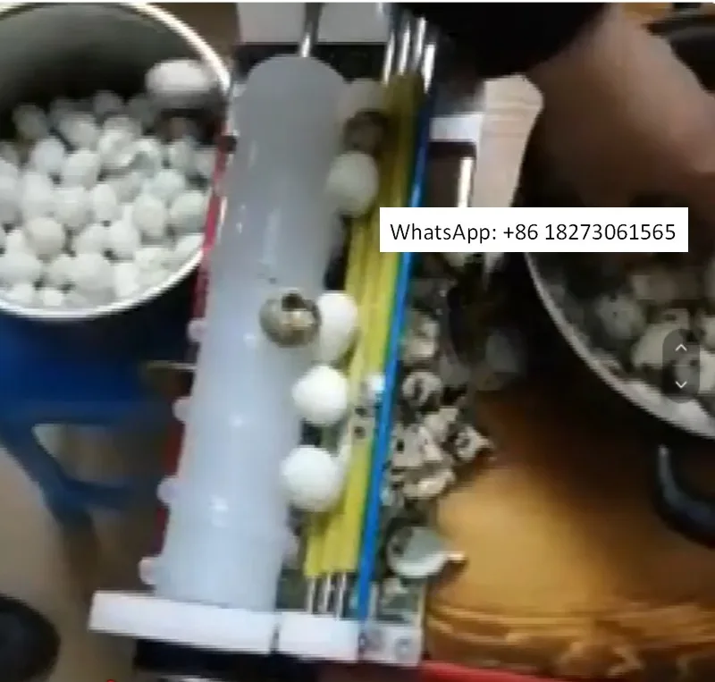 

Manual Quail Egg Peeling Machine Automatic Egg Peeling Machine