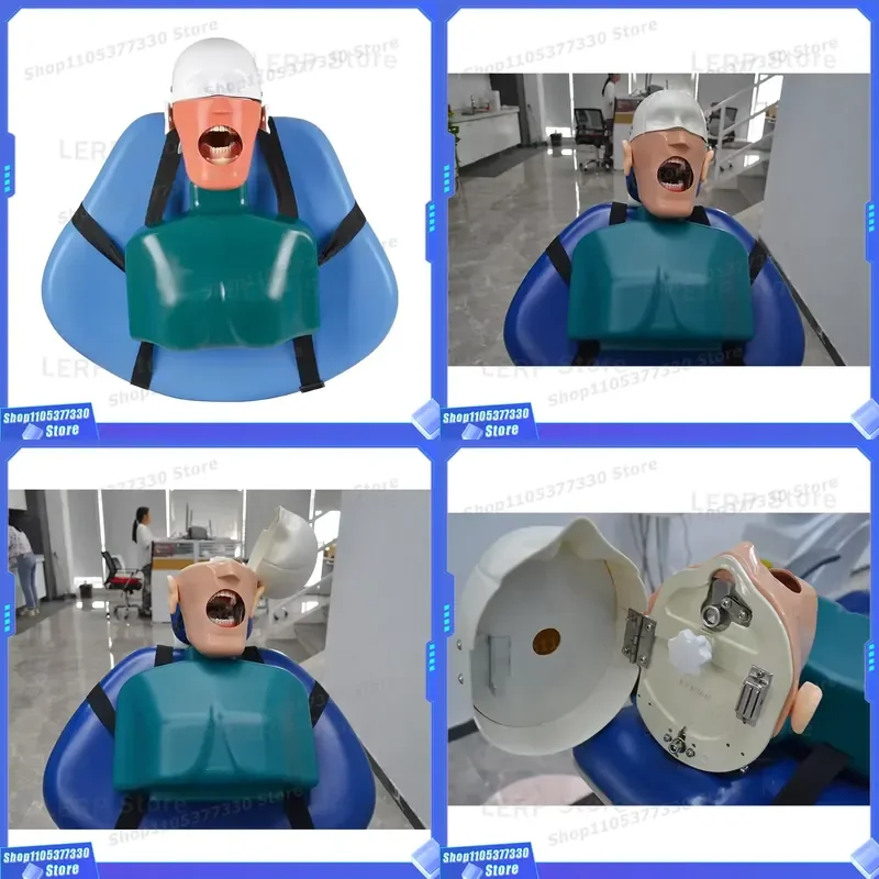 LK-OS24 Dental Simulation Model Human Head Mould with Body Belt Shape for Medical Training Practice Education Tool Kit Human