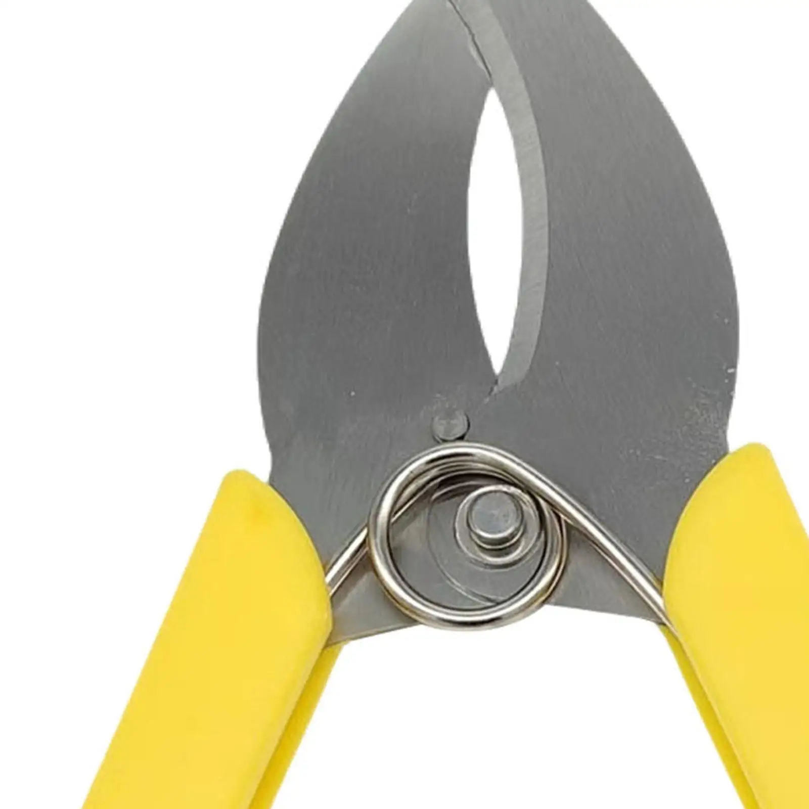 Garden Tree Branches Ring Barking Cutter Scissor – My Real