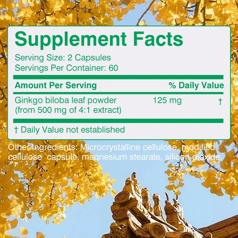 Ginkgo Biloba 500 Mg Extra Strength - Supports Brain Function and Memory, Focus, Stress Relief, 120 Veggie Capsules
