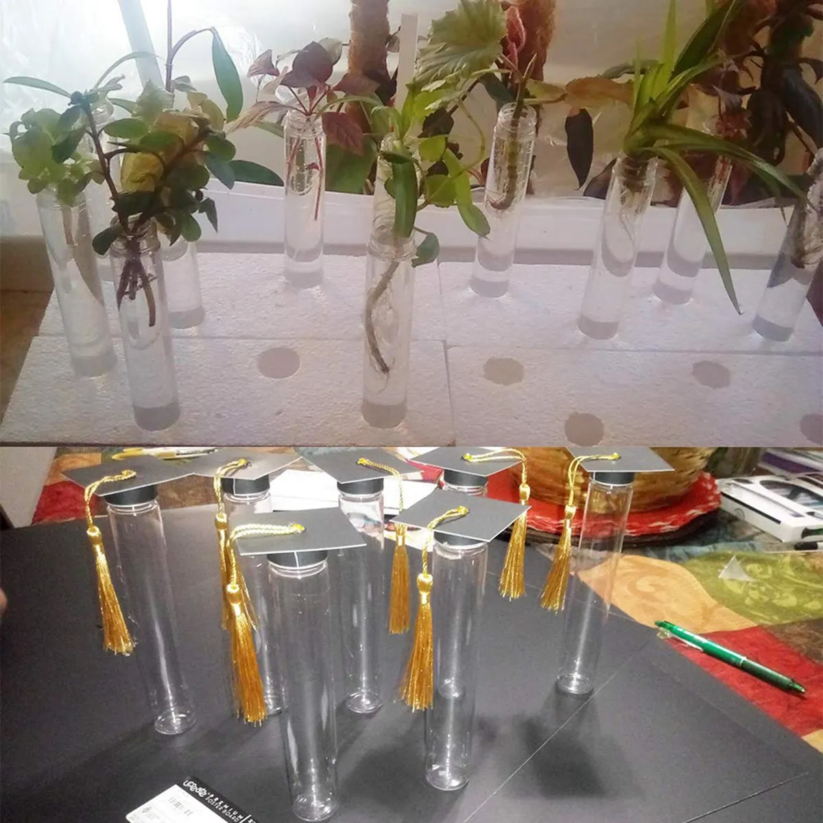 

A06K 15 шт. 110 мл пластиковая пробирка, прозрачные плоские пробирки, пластиковые пробирки с завинчивающимися крышками для конфет, бобов, декора для вечеринки