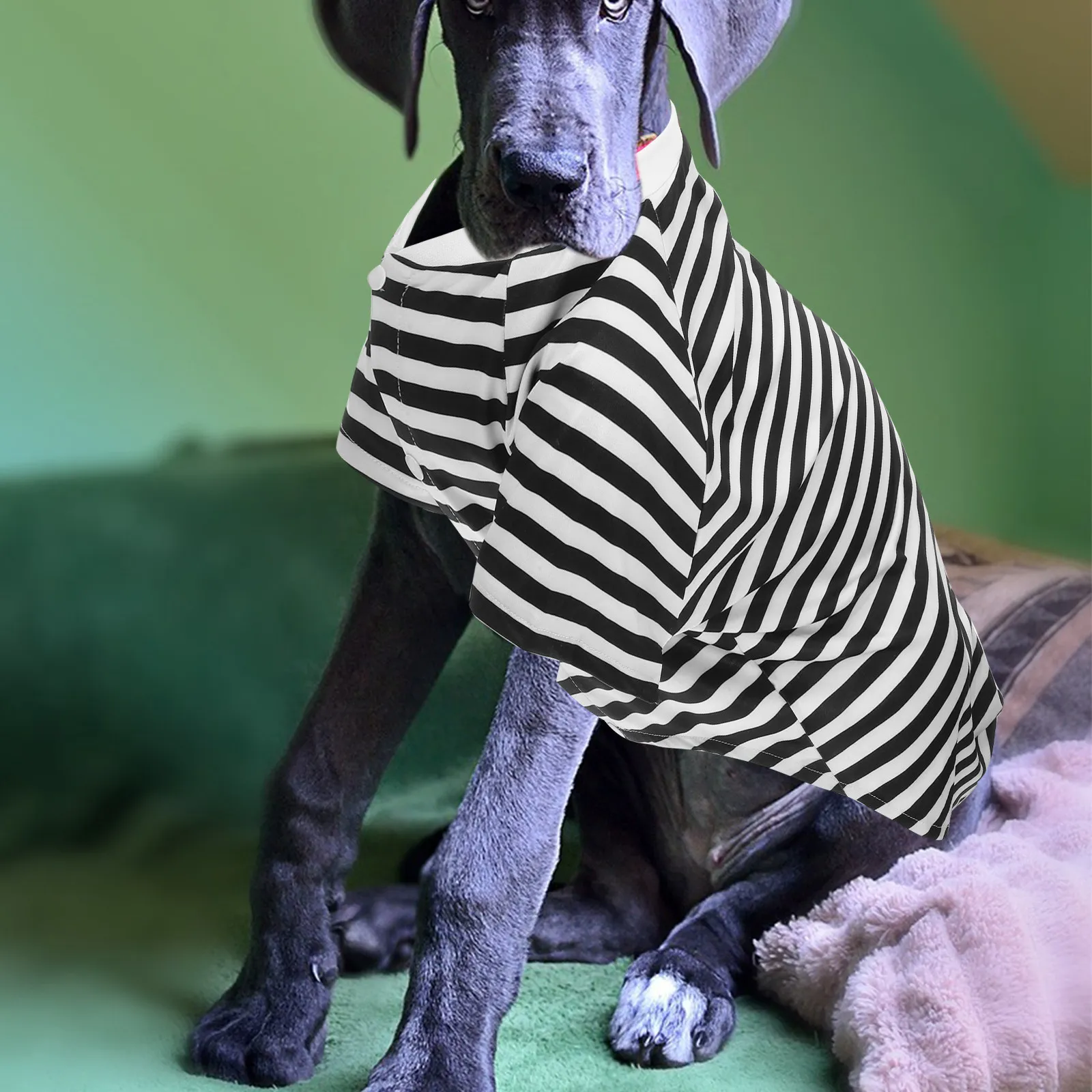 Large Dog Striped T Shirt Size M Black and White Cotton Vest Breathable Oversized Dog Clothes for Medium Large Dogs Outdoor