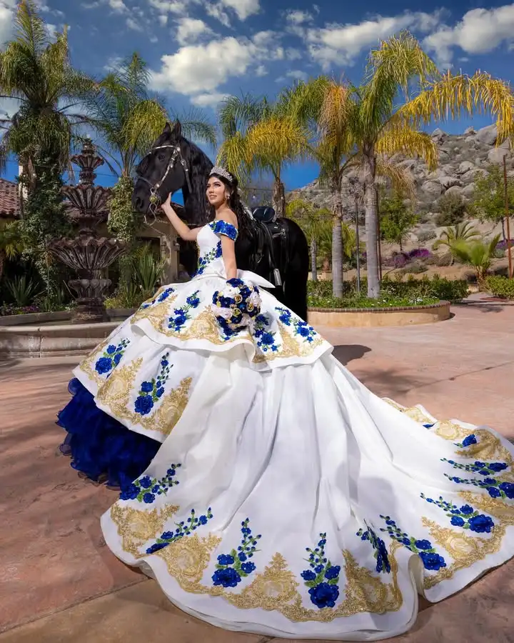 Customized Vintage Gold Applique Quinceanera Dress Edges Layered Vestidos De 15 Anos Blue Ball Gown xvaños image 4