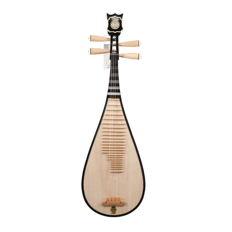 Pipa 594 Beginner Entry-Level Exam Performance