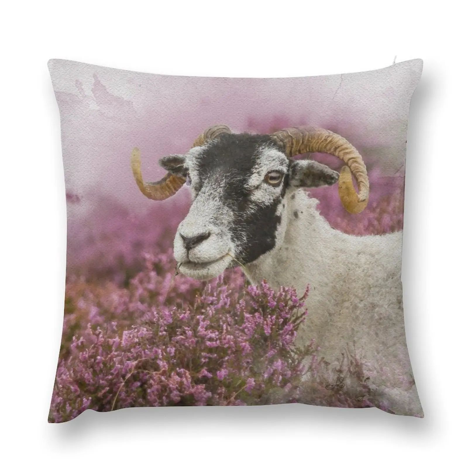 Swaledale Sheep and Autumn Heather Watercolour Photograph Throw Pillow christmas pillowcases Decorative Cushion pillow