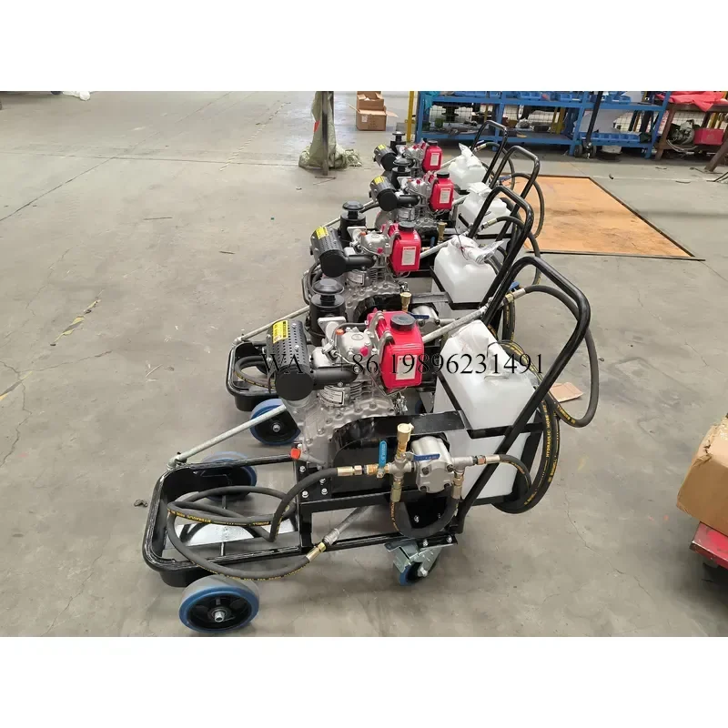 Wmwmnu Mini Hand Push LS-310 or Power Emulsified Bitumen Sprayer for Pavement Sealing Layer